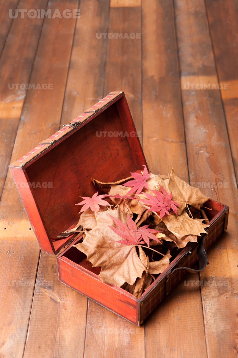 PHO355_084