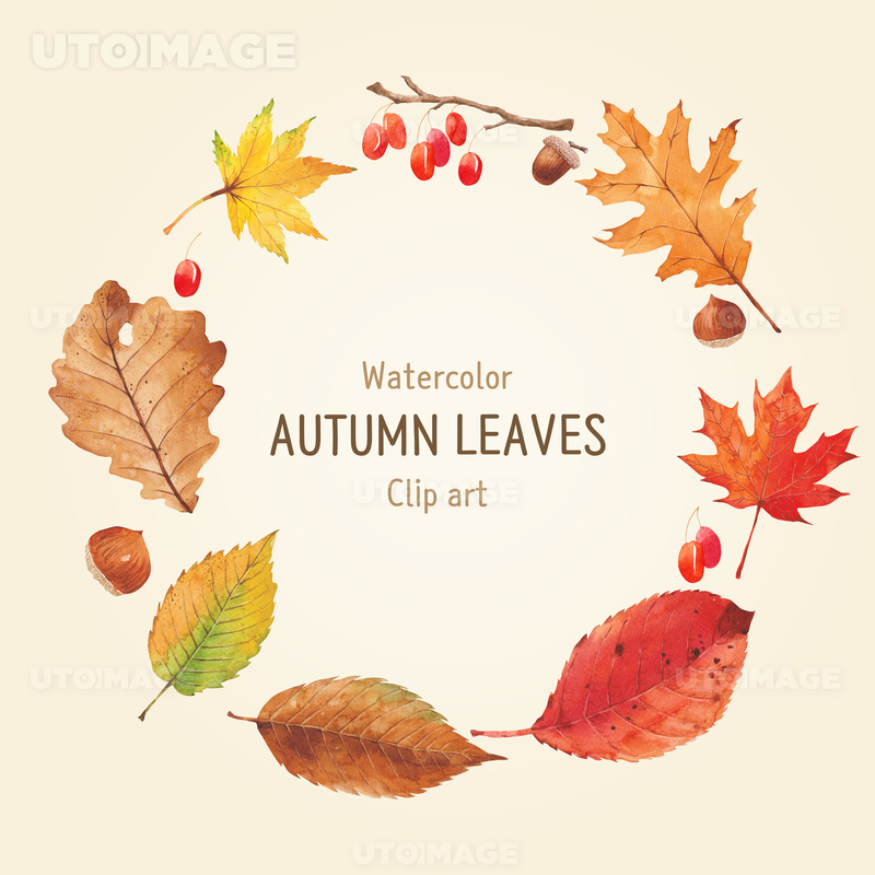 180816_yuja_autumn_watercolor04