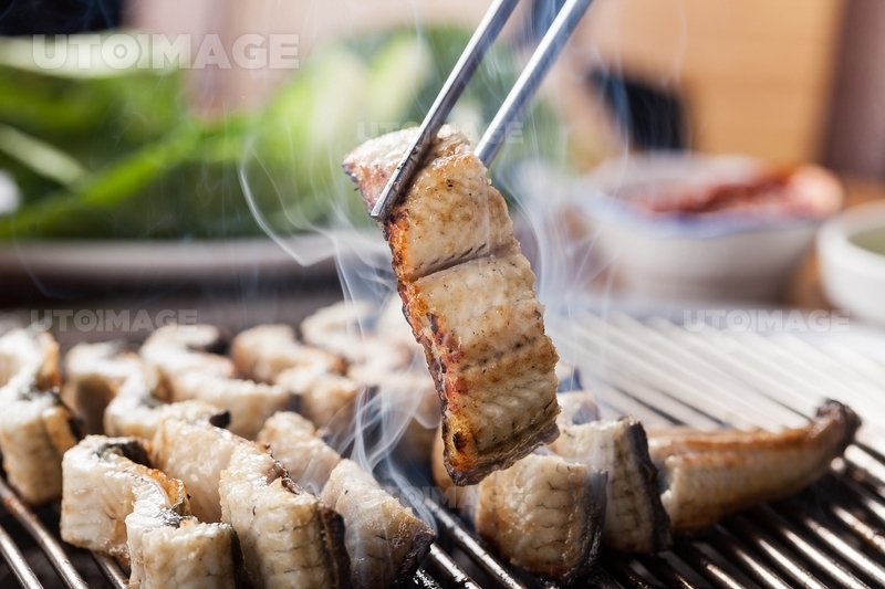 grilled eel65