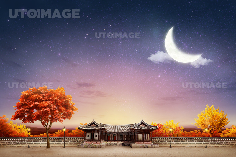 FUS213_010