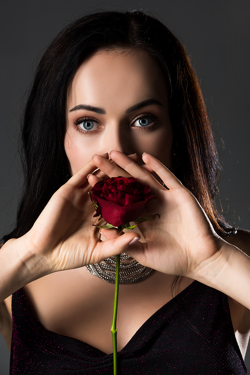 Beautiful Stylish Woman Holding Rose Flower Isolated On Grey