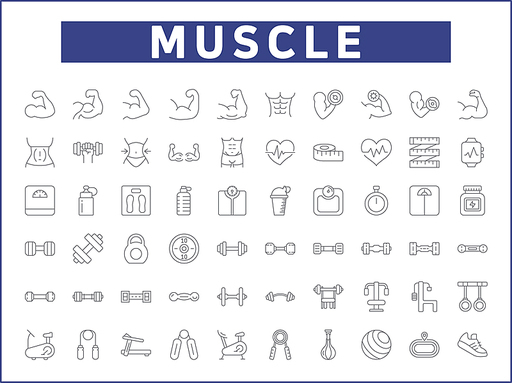 Simple Set of muscle Related Vector Line Icons. Vector collection of fitness, flexing, working out, gym, dumbbell, weight, scale, ball, healthy, measure and design elements symbols or logo element.