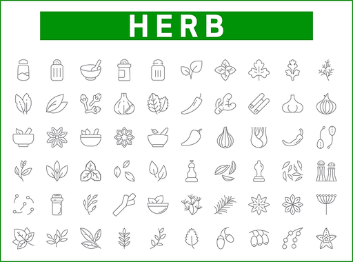 Set of herbs and spices icons line style. It contains such Icons as basil, parsley, rosemary, bay leaf, chili, onion, dill, cloves, garlic and other elements.