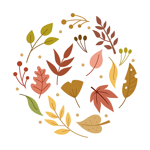 Vector of Colorful floral design pattern. Hand drawn autumn leaves collection. Fall autumn flowers and leaf, forest elements.