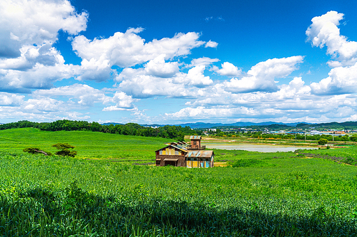 목장풍경