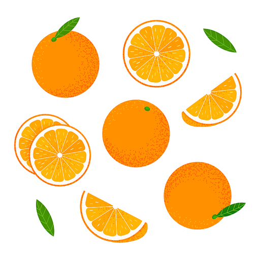 주황색 과일 오렌지와 오렌지조각 일러스트