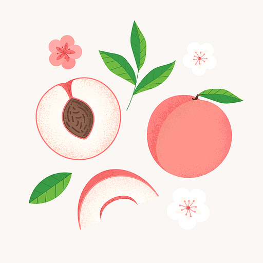 분홍색 과일 복숭아와 복숭아조각 일러스트