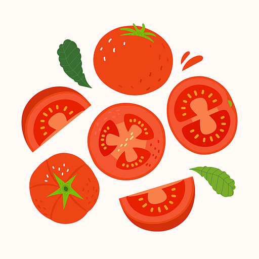 붉은색 채소 토마토와 토마토조각 일러스트