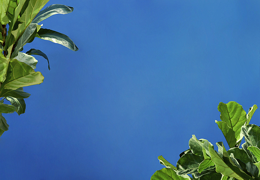 그리너리, 여름, greenery background, summer concept 4