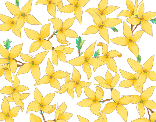 개나리 패턴 배경화면 forsythia pattern illust