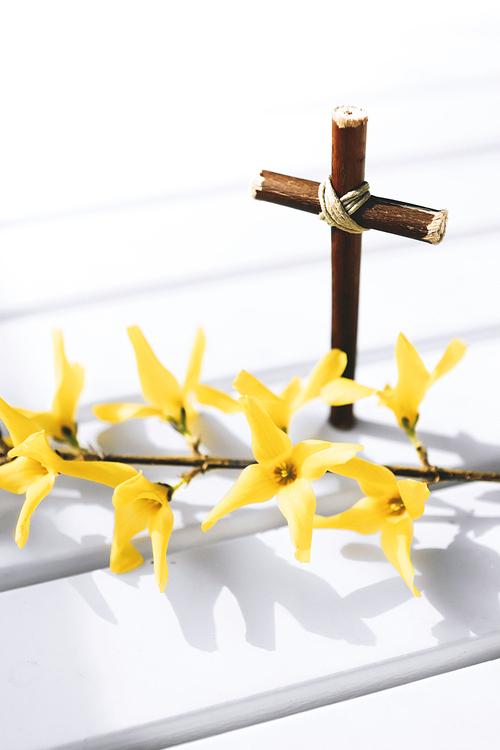 예수그리스도의 고난과 죽음과 부활을 상징하는 십자가와 개나리꽃 그리고 흰색 배경