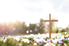 예수그리스도의 죽음과 부활을 상징하는 십자가와 봄 꽃 그리고 떨어지는 꽃잎과 밝은 햇살