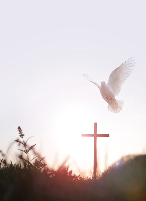 노을지는 숲 흰색 비둘기와 예수 그리스도의 거룩한 십자가는 죽음과 부활 사랑을 상징합니다.