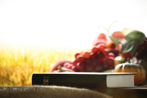 교회 추수감사절 과일과 벼이삭과 들판 배경 그리고 성경책과 곡식