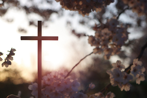 노을지는 숲 나무 사이로 밝게 빛나는 햇빛과 봄 꽃 그리고 예수 그리스도의 죽음과 부활을 상징하는 거룩한 십자가
