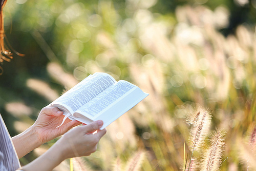 화창한 가을날 평온한 갈대 숲에서 성경책을 읽으며 쉬고있는 크리스찬 여성
