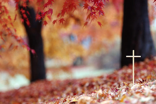 붉은 단풍잎이 떨어지는 아름다운 가을 숲 쌓인 낙엽 위에 예수 그리스도의 십자가