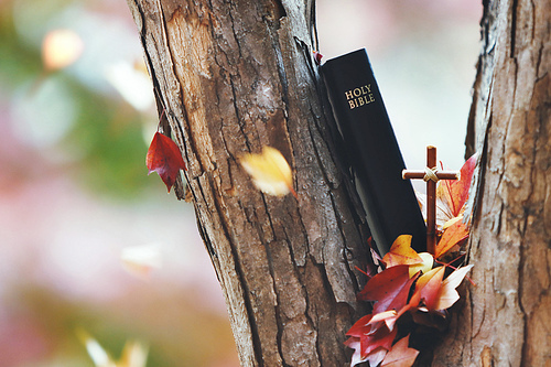 나무사이로 떨어지는 아름다운 가을 낙엽과 붉은 단풍잎 그리고예수 그리스도의 거룩한 십자가와 성경책