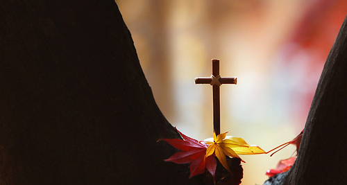 나무사이로 떨어지는 아름답게 낙엽과 붉은 단풍잎 그리고예수 그리스도의 거룩한 십자가