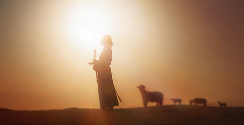 양떼를 인도하며 하나님께 기도하는 목자 예수 그리스도 그리고 들판에 밝은 태양 빛과 예수님 보케 실루엣 배경