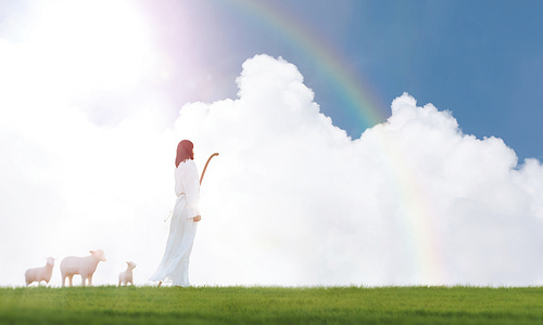 파란 하늘과 구름, 양떼를 인도하는 목자 예수 그리스도 그리고 밝고 찬란한 태양 빛 초원위를 양과 함께 걷고있는 예수님 배경