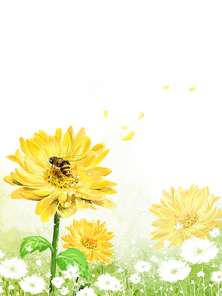 Beautiful Flower 14