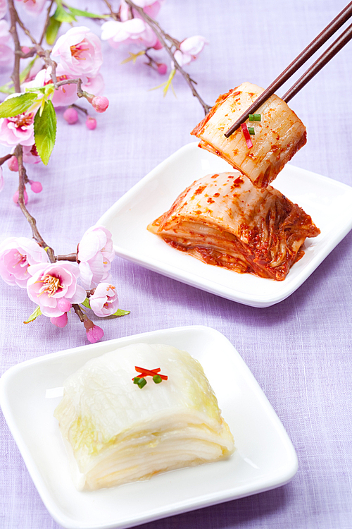 Kimchi(김치)025