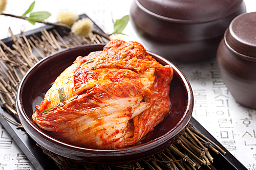 Kimchi(김치)093