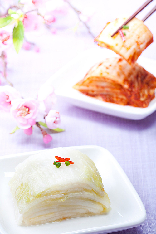 Kimchi(김치)100