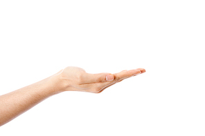 Hands motion (핸드모션) 035