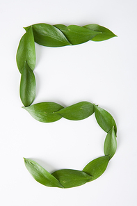 Natural font(내추럴폰트)206