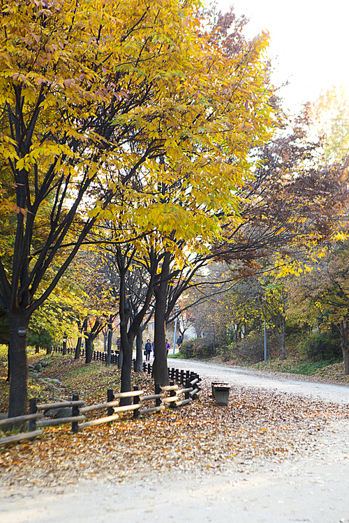 가을풍경 049