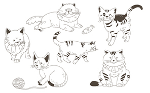 Animal 013
