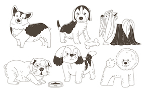 Animal 014