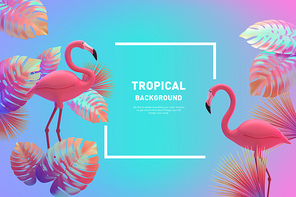 Tropical Background 003