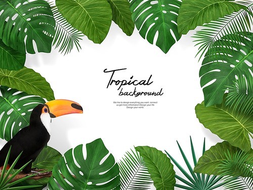 Tropical Background 002