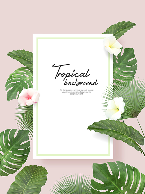 Tropical Background 005