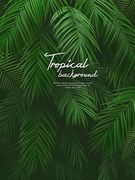 Tropical Background 007