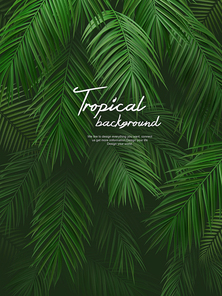 Tropical Background 007