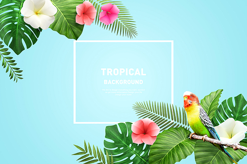 Tropical Background 008