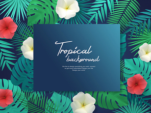 Tropical Background 010