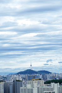 도시 풍경 - 남산타워 세로 풍경