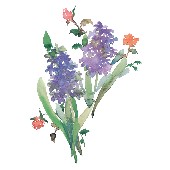 Watercolor-Flowers