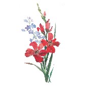 Watercolor-Flowers