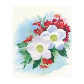 Watercolor-Flowers