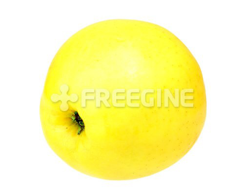 Single a fresh yellow apple 