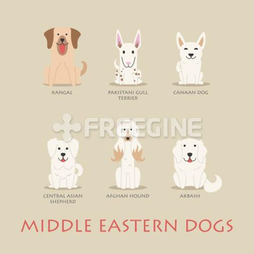 Set of middle eastern dogs