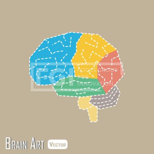 Brain anatomy ( frontal lobe , parietal lobe , temporal lobe , occipital lobe , cerebellum , brain stem )