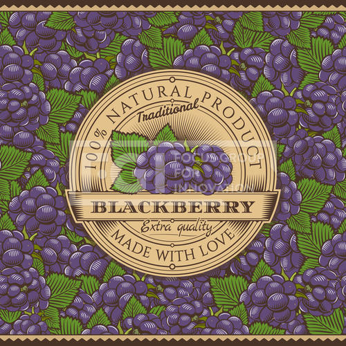 Vintage Blackberry Label On Seamless Pattern