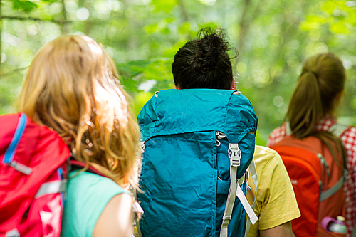 adventure, travel, tourism, hike and people concept - close up of friends walking with backpacks in woods from back